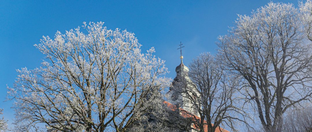 St. Magnus und Ulrich, Bodnegg
