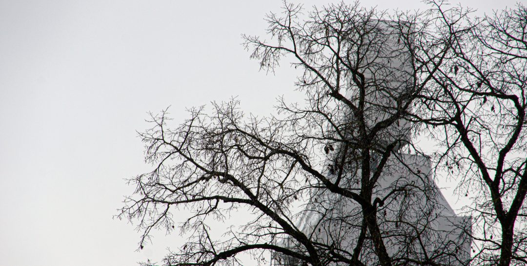 Pfarrkirche St. Gallus und Ulrich in Kißlegg