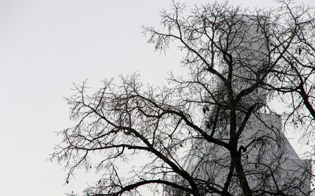 Pfarrkirche St. Gallus und Ulrich in Kißlegg